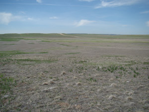 photo of drought-stressed pasture