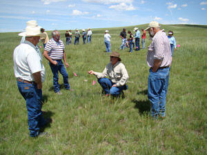 photo - participants in workshop examining field for pasture quality