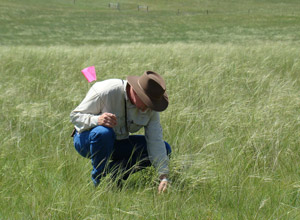 photo of man monitoring a pasture