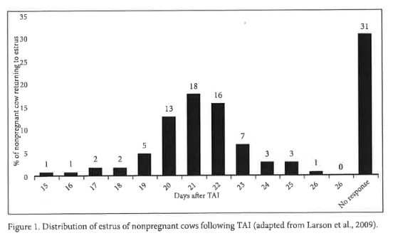 Figure 1 - distribution of estrus of non-pregnant cows following TAI