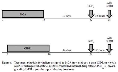 Figure 1 - treatment schedule for heifers assigned to MGA or 14-day CIDR