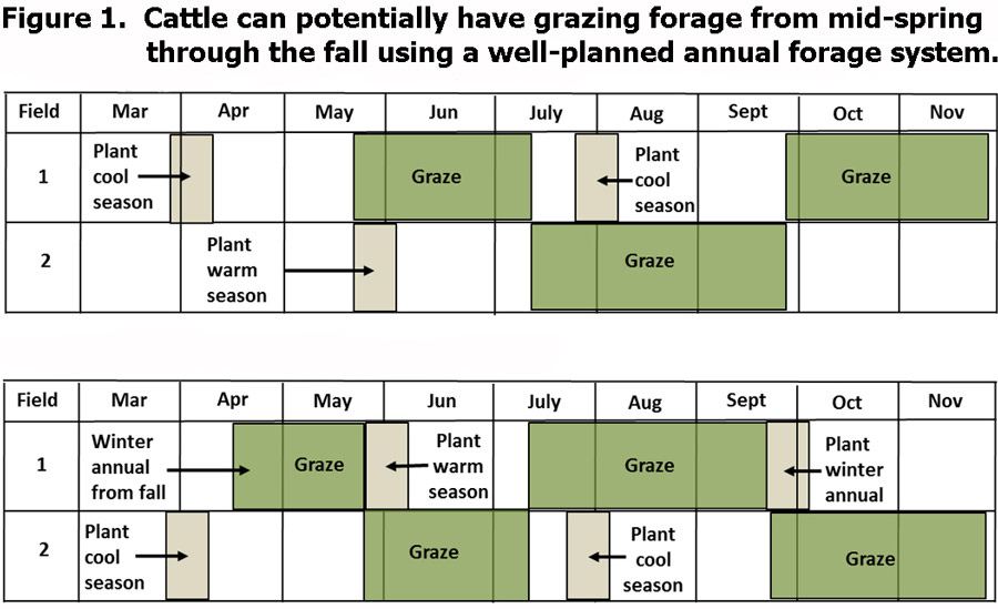 Figure 1 showing 2 options for annual forage systems plan