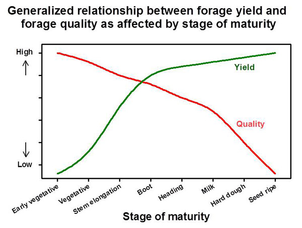Graph: Relationship between forage yield and forage quality