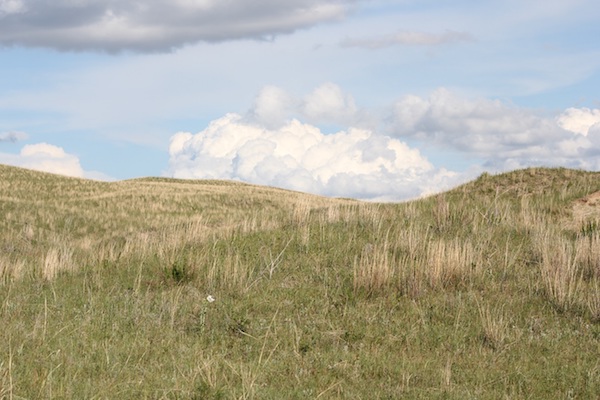photo of open pasture