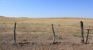photo of drought-stricken pasture