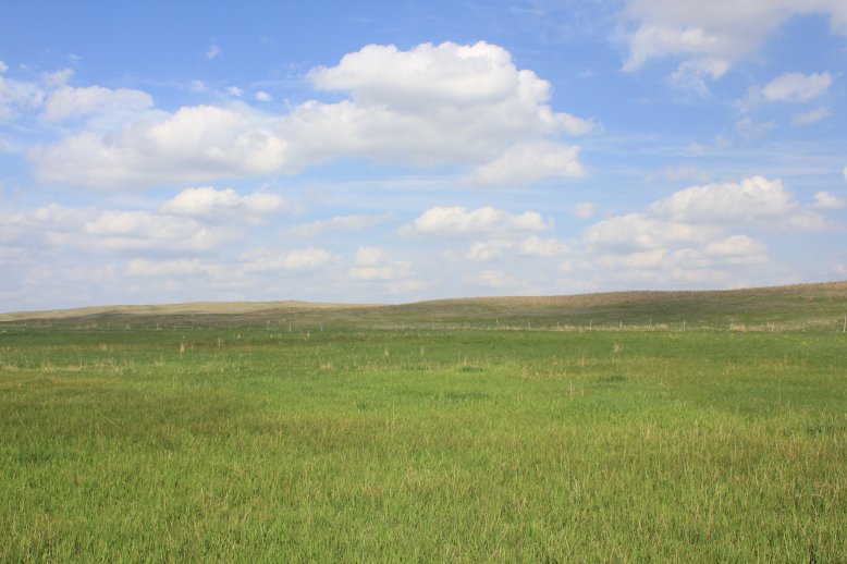 rangeland in the Nebraska sandhills