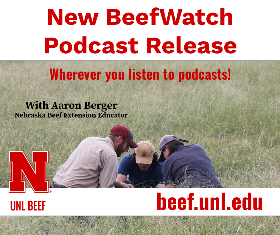 UNL BeefWatch podcast release. Image of people in field. 