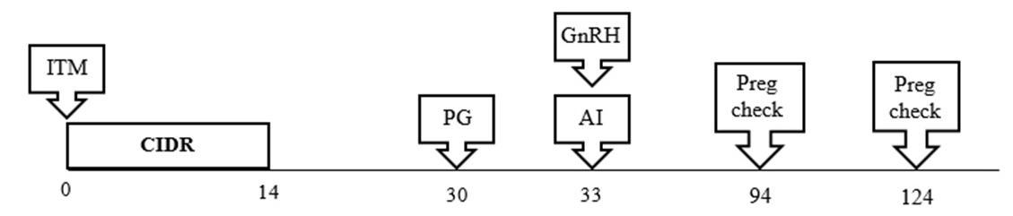 Protocol Graph
