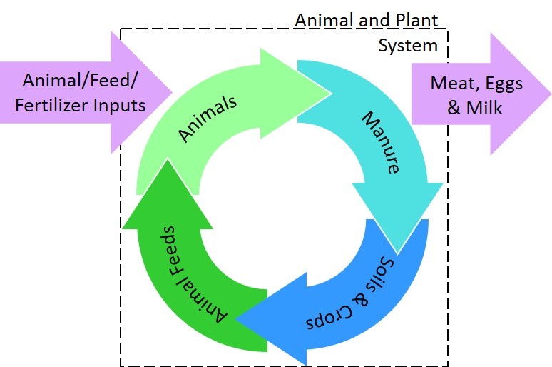 Recycling of nutrients