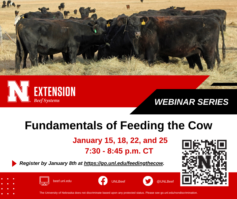 Flier for the Fundamentals of Feeding the Cow educational program