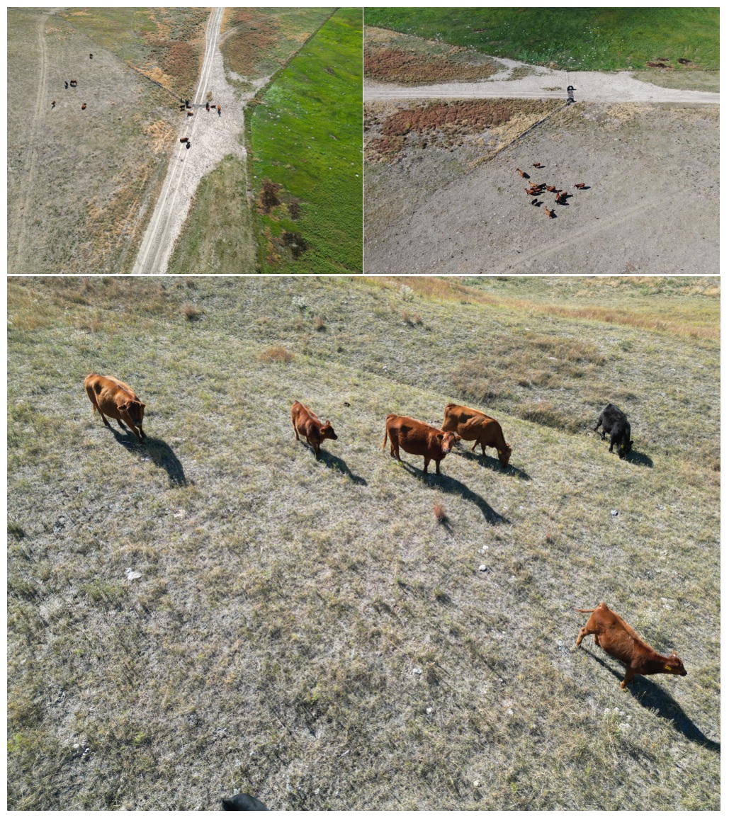 GSL Youdth Field Drone photos