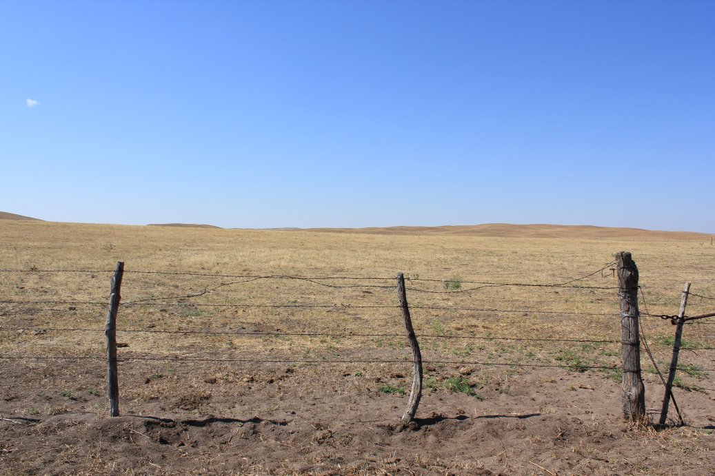 Drought pasture