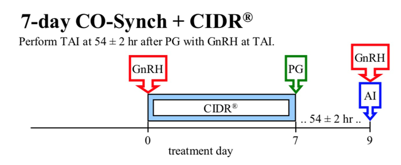 CO-Synch + CIDR diagram