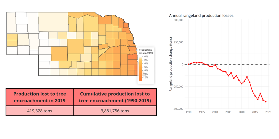 Losses in rangeland production due to woody encroachment in Nebraska’s rangelands.