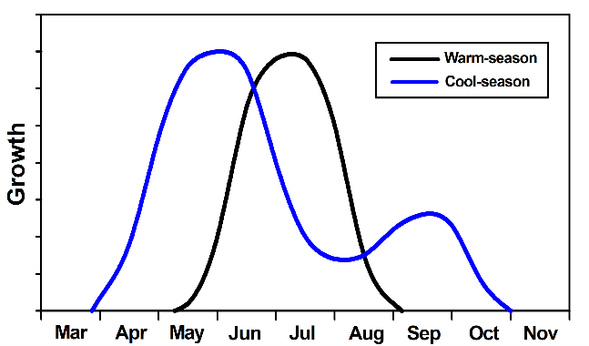 Annual growth curve of warm- and cool-season grasses