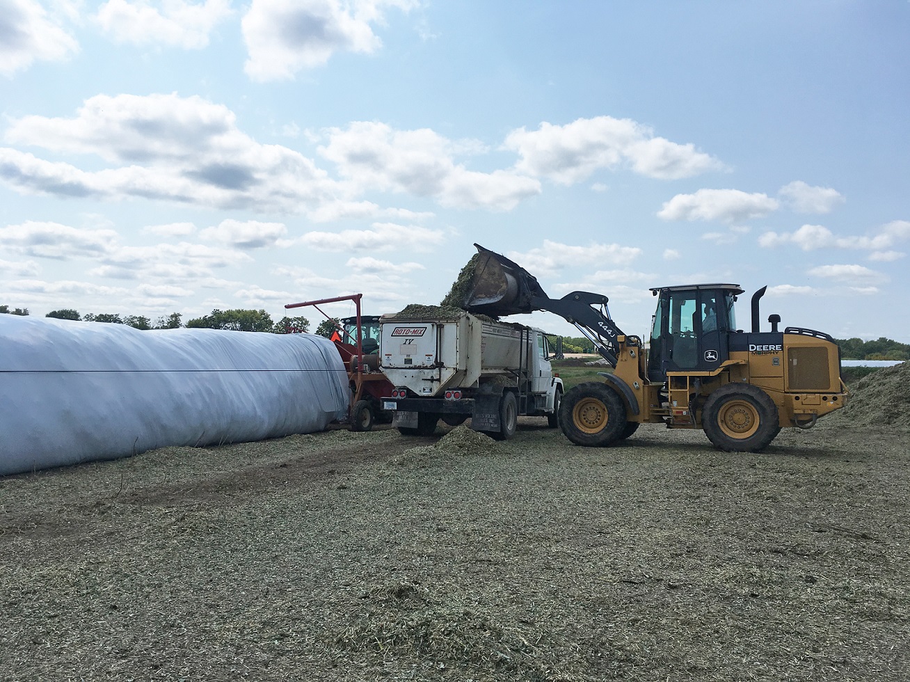 Details 54+ silage bags vs bunkers latest - in.cdgdbentre