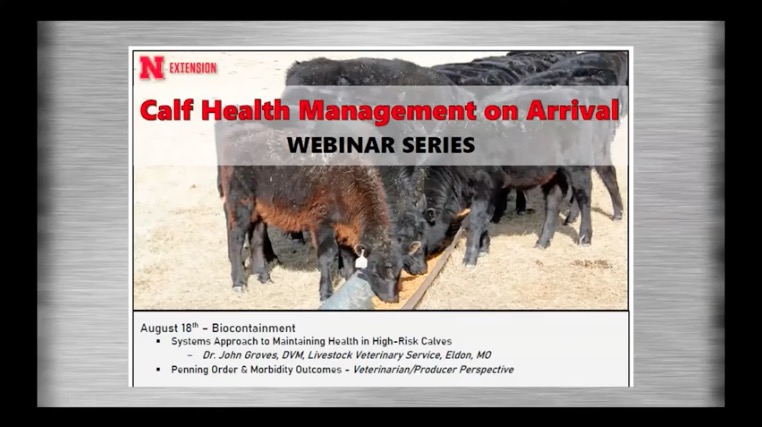 link to Systems Approach to Maintaining Health in High-Risk Calves