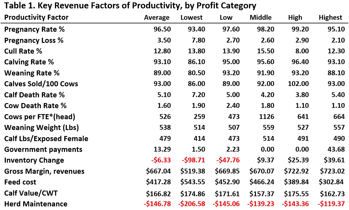 Key revenue factors of productivity