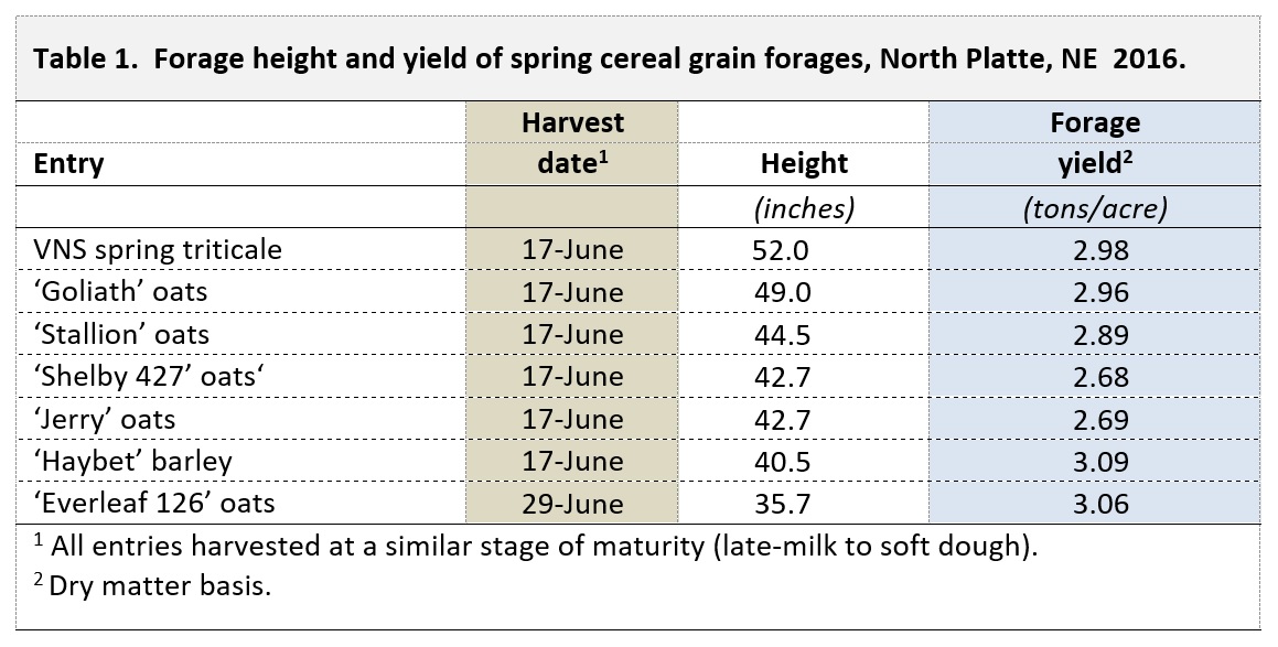 Forage height and yield of spring cereal grain forages