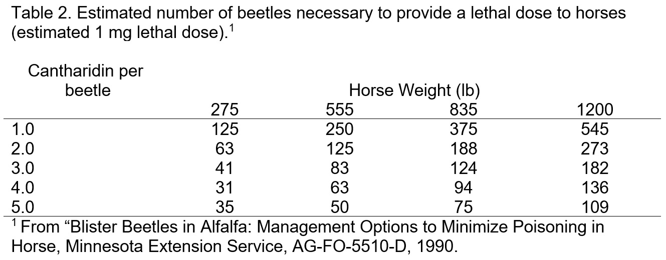 Number of beetles to be lethal