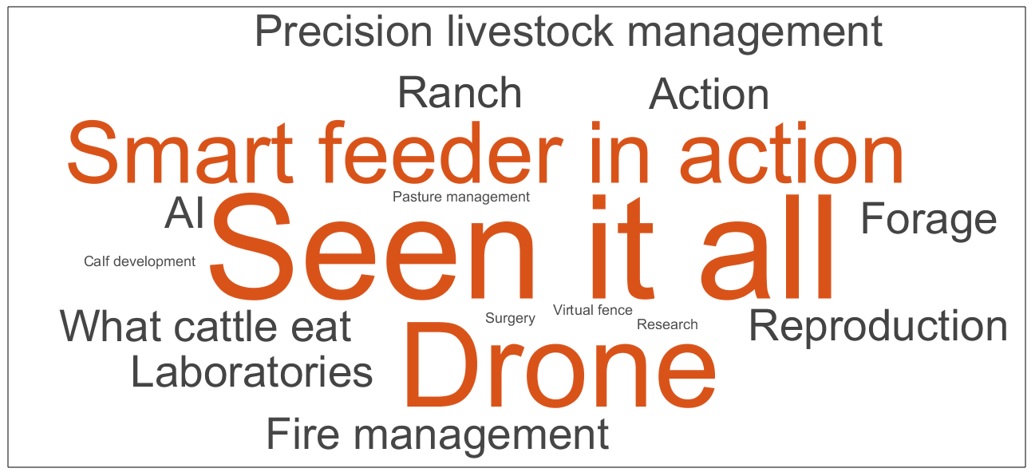Word cloud from GSL Youth Field Day on drone usage