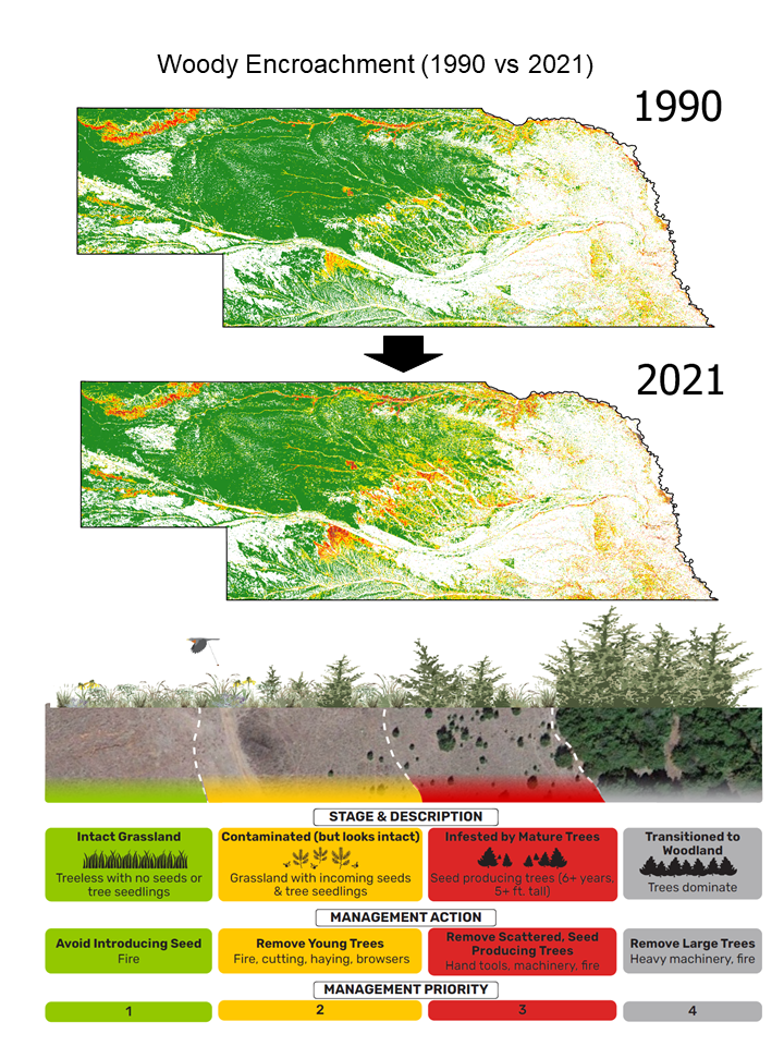 Woody encroachment stages in Nebraska from 1990 to 2021 and descriptions of the stages of encroachment and associated management actions
