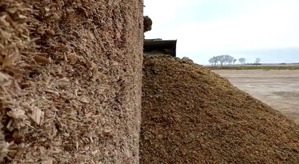 Silage pile.