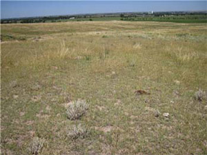 photo of dry pasture