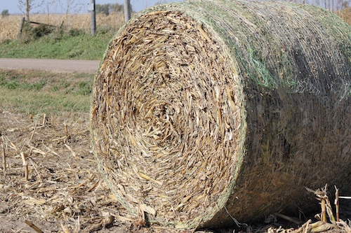 photo of a cornstalk bale