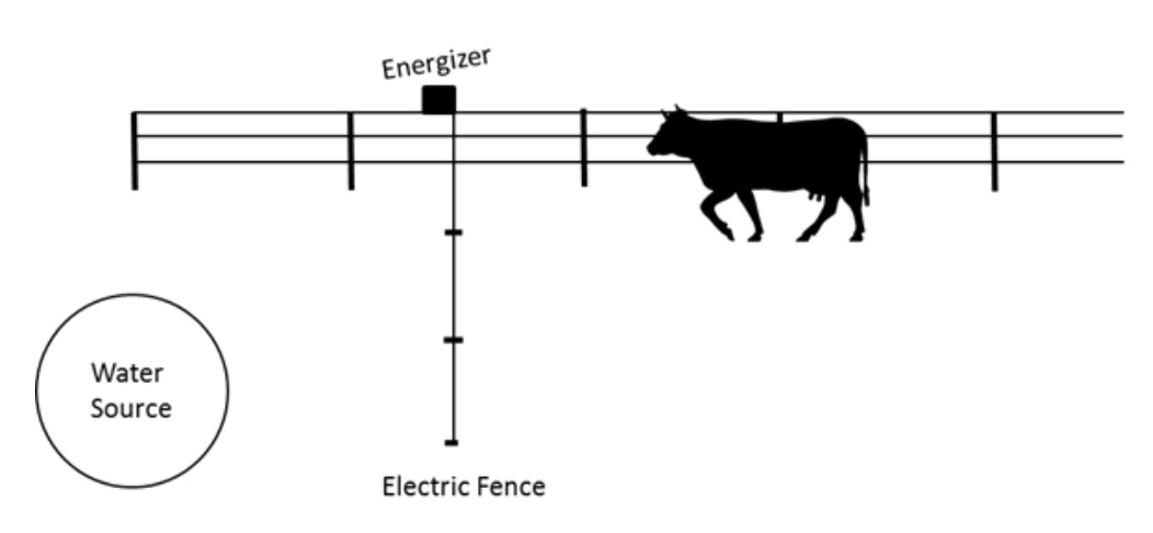 diagram of configuration for training cattle to an electric fence