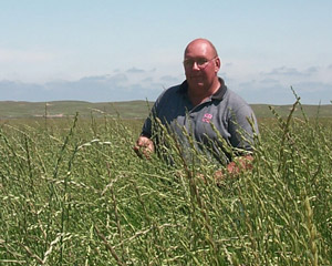 photo of Dennis Bauer wheatgrass field