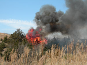 photo - burning Eastern Redcedar trees in pasture