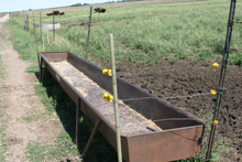 photo of trough by pasture