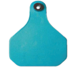 turquoise hexagonal cattle ear tag