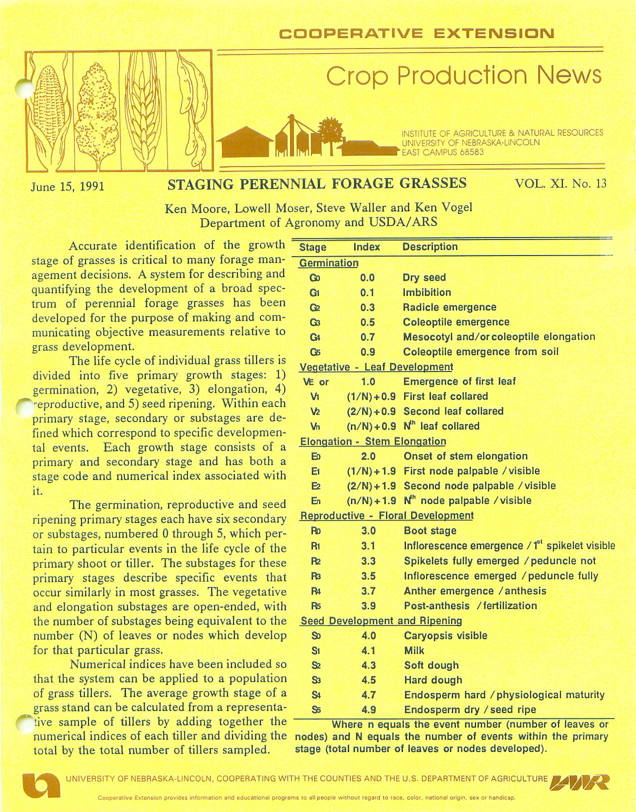 Staging perennial grass publication