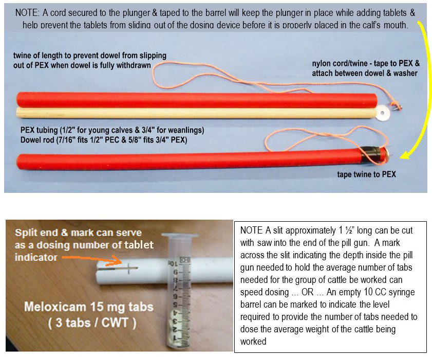 Homemade Meloxicam dosing tool