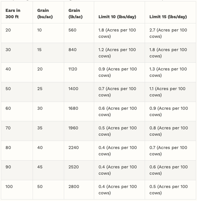 Ears in 300 ft	Grain (bu/ac)	Grain (lb/ac)	Limit 10 (lbs/day)	Limit 15 (lbs/day) 20	10	560	1.8 (Acres per 100 cows)	2.7 (Acres per 100 cows) 30	15	840	1.2 (Acres per 100 cows)	1.8 (Acres per 100 cows) 40	20	1120	0.9 (Acres per 100 cows)	1.3 (Acres per 100 cows) 50	25	1400	0.7 (Acres per 100 cows)	1.1 (Acres per 100 cows) 60	30	1680	0.6 (Acres per 100 cows)	0.9 (Acres per 100 cows) 70	35	1960	0.5 (Acres per 100 cows)	0.8 (Acres per 100 cows) 80	40	2240	0.4 (Acres per 100 cows)	0.7 (Acres per 100 cows) 90	45	