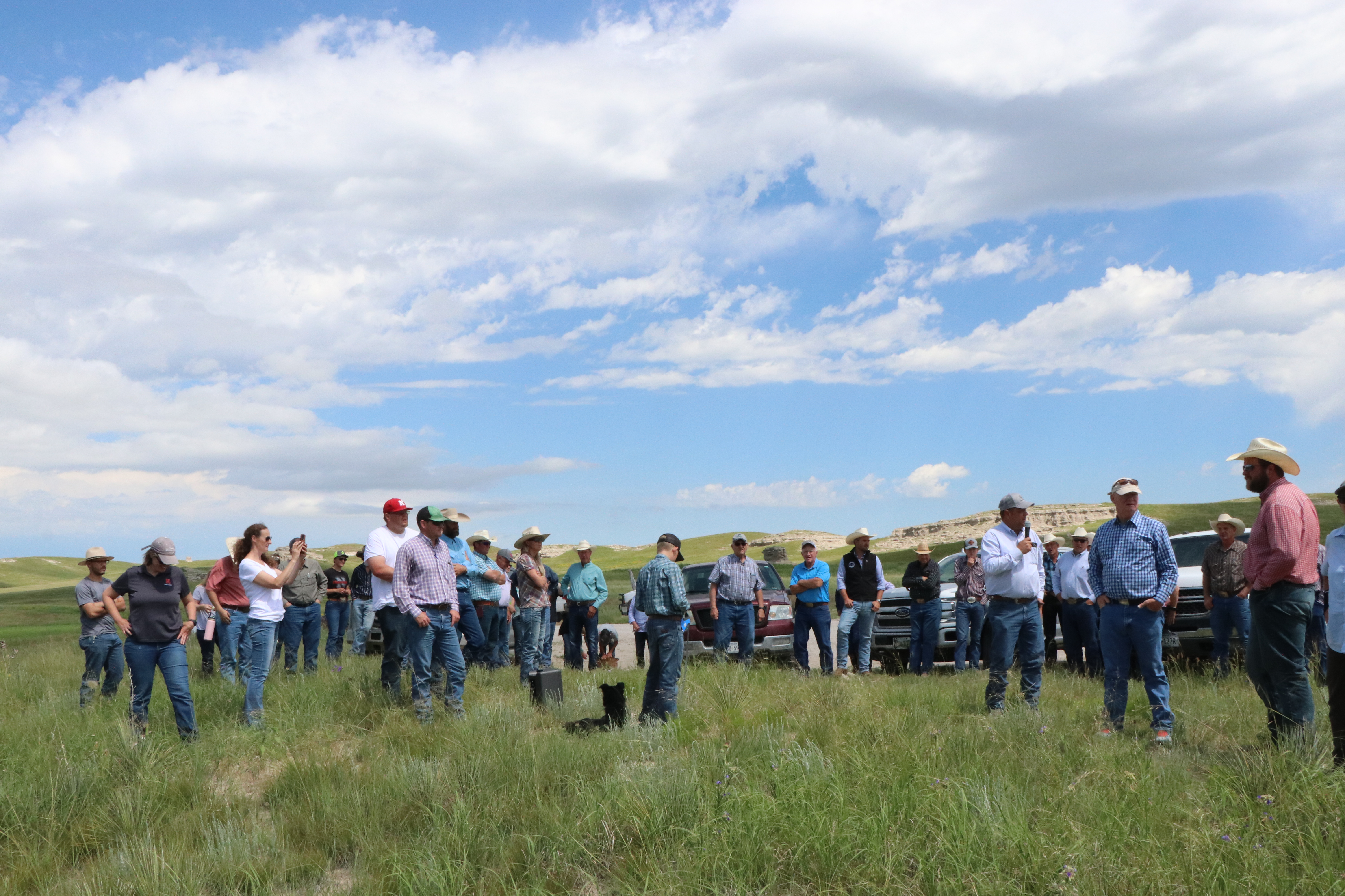 People on a tour in a pasture