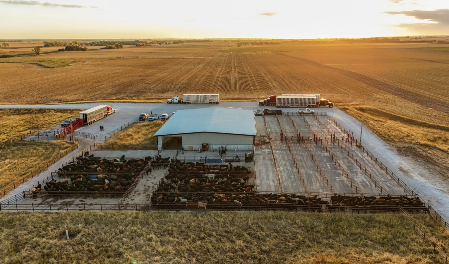 Klosterman Feedlot Innovation Center