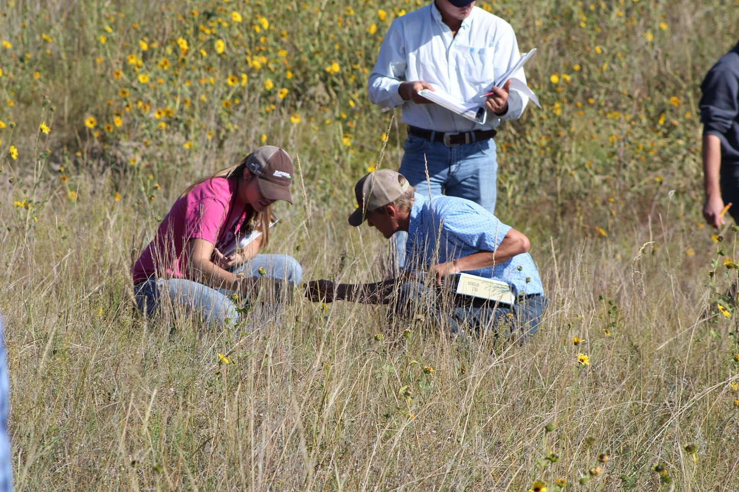 Students in pasture looking at plant specimens