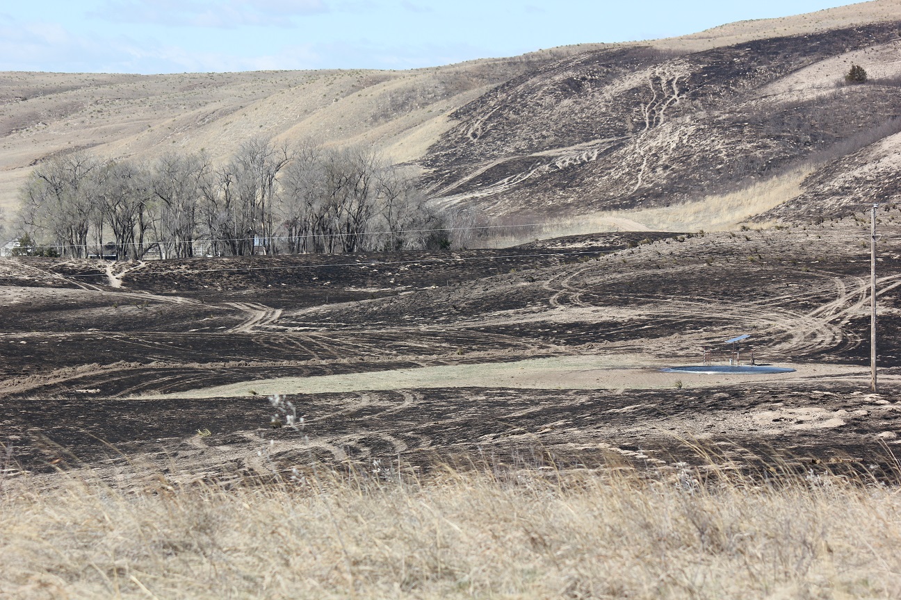 Sandhills fire