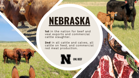 Nebraska leads the nation in many areas of beef production.