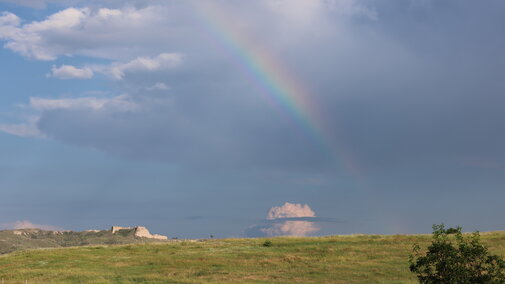 a rainbow coming down in a pasture