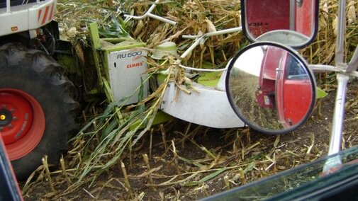 high moisture corn being harvested
