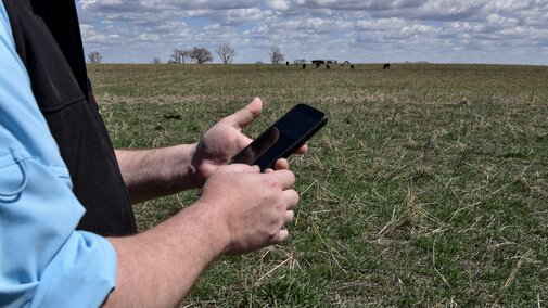  Beef producer standing in a cereal rye pasture using a smartphone to capture an image for forage mass estimation, with grazing cattle visible in the background.  Photo credit: Abigale Warm.