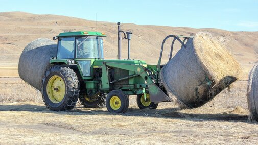 Meadow hay bales