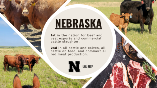 Nebraska leads the nation in many areas of beef production.