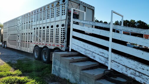 Cattle loadout