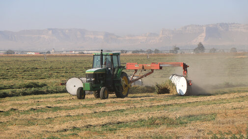 hay being raked