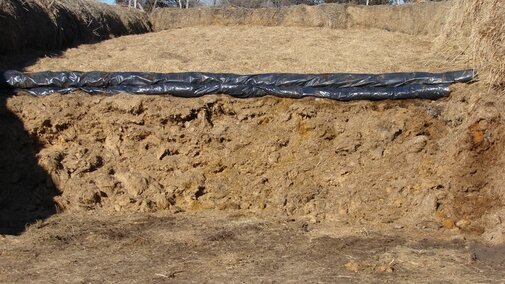 Wet distillers grains mixed with a dry forage and packed in a bunker